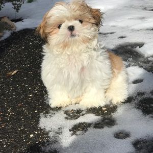 Meet your Posher, Marg